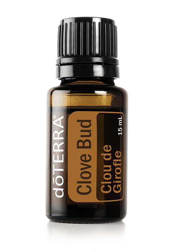 Clou de girofle (PSN)  Syzygium aromaticum