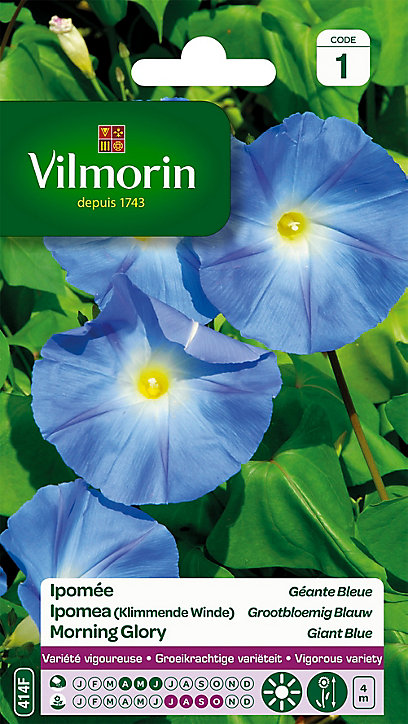 Graines d'Ipomée Grande Fleur Bleue Vilmorin