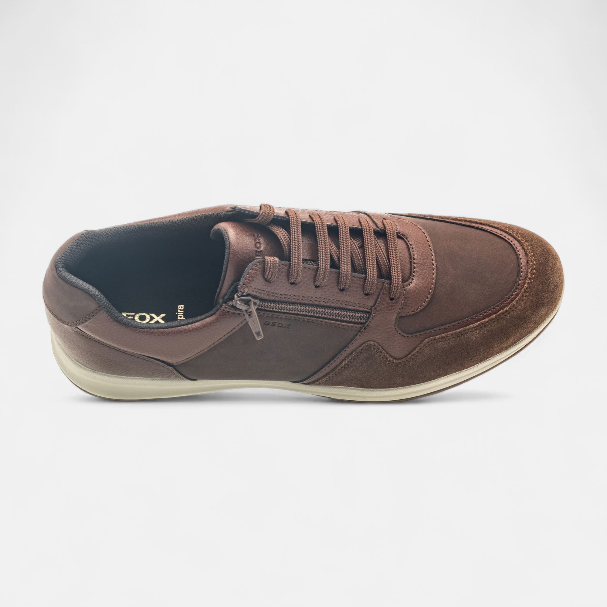 Baskets basses Homme marron