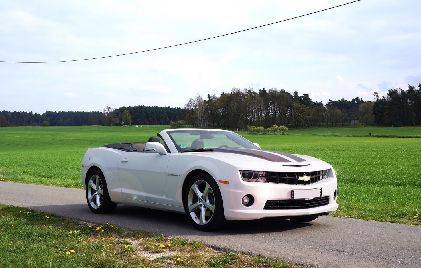 Camaro fahren Thale