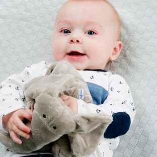 Difrax Knuffel Olifant Elliot Groot 1ST