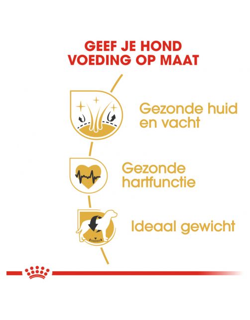 Royal Canin Golden Retriever Adult - Hondenvoer