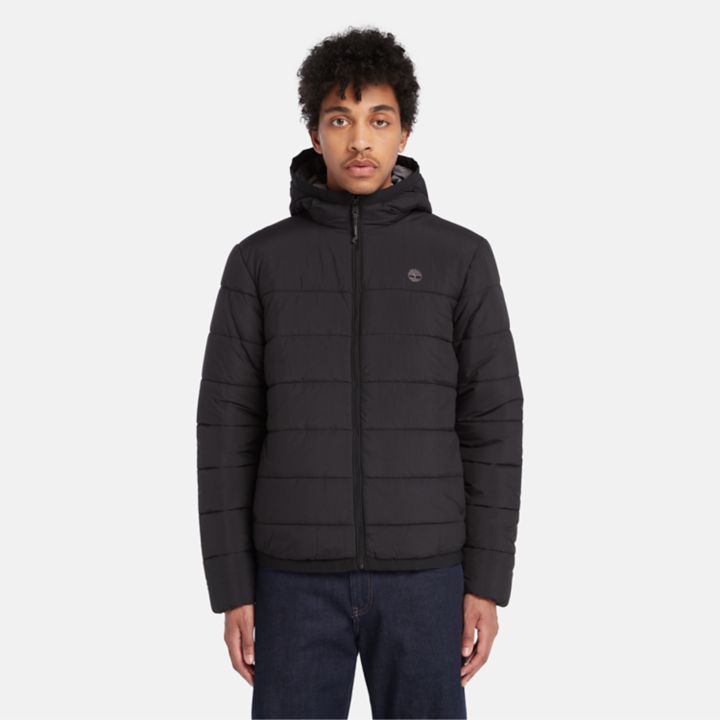 Jaqueta puffer Garfield Thermarange masculina na cor preta.