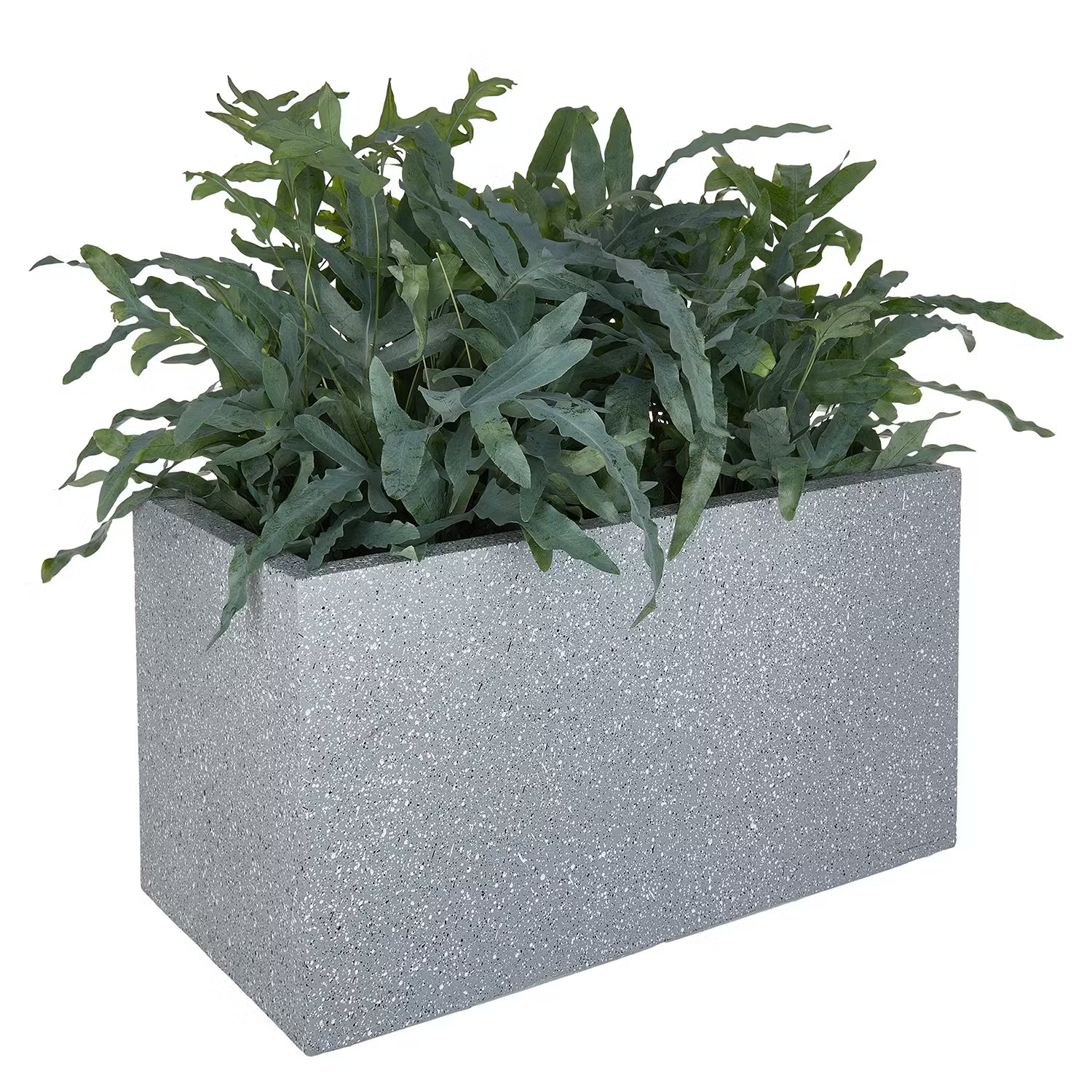 CONCRETE Pflanzkasten