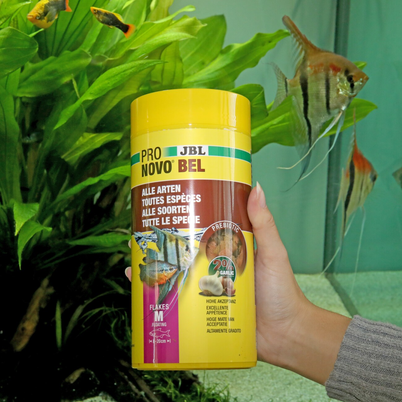 JBL PRONOVO BEL FLAKES M 1 l