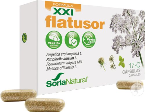Soria Natural Formule XXI Flatusor 17-C Gélules 30