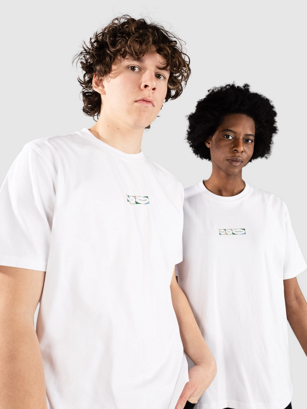 Ementa SB Lion T-Shirt white