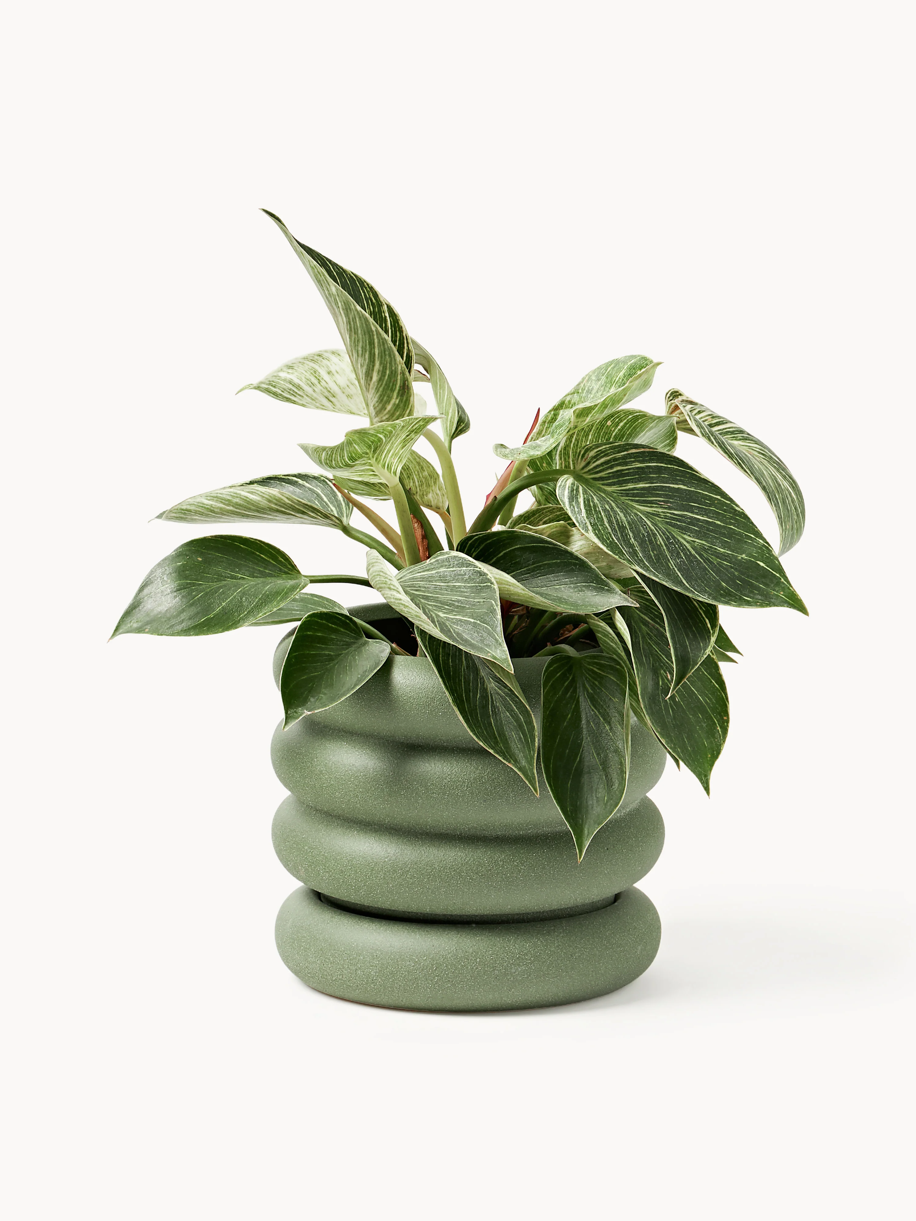 Kleine bloempot Rudi met schotel, H 16 cm