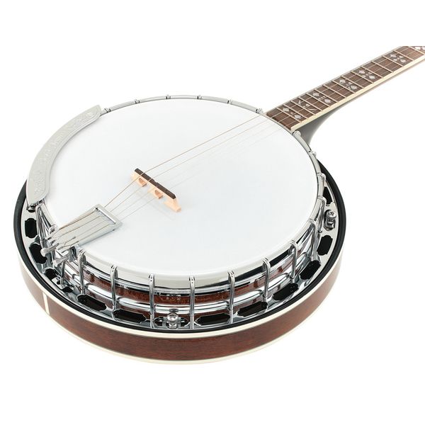 Gold Tone TS-250 Tenor Banjo w/Case
