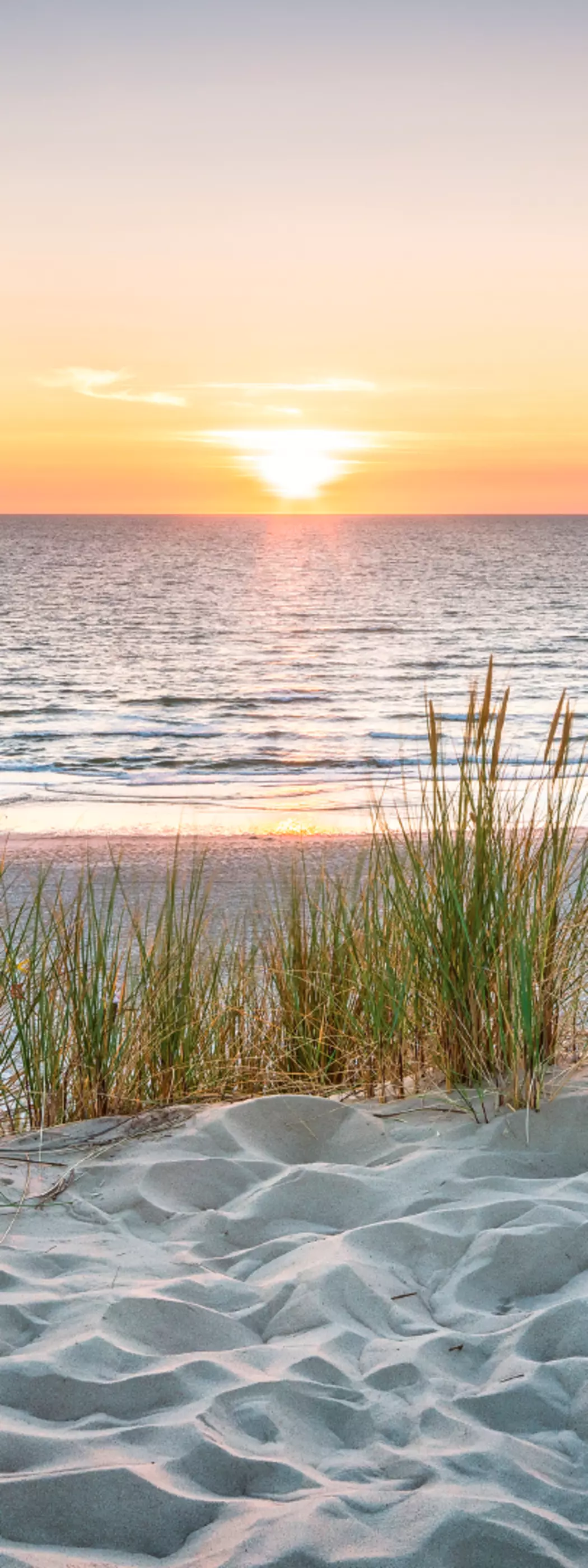 Wandbild 30 x 80 cm Beautiful Sunset IV