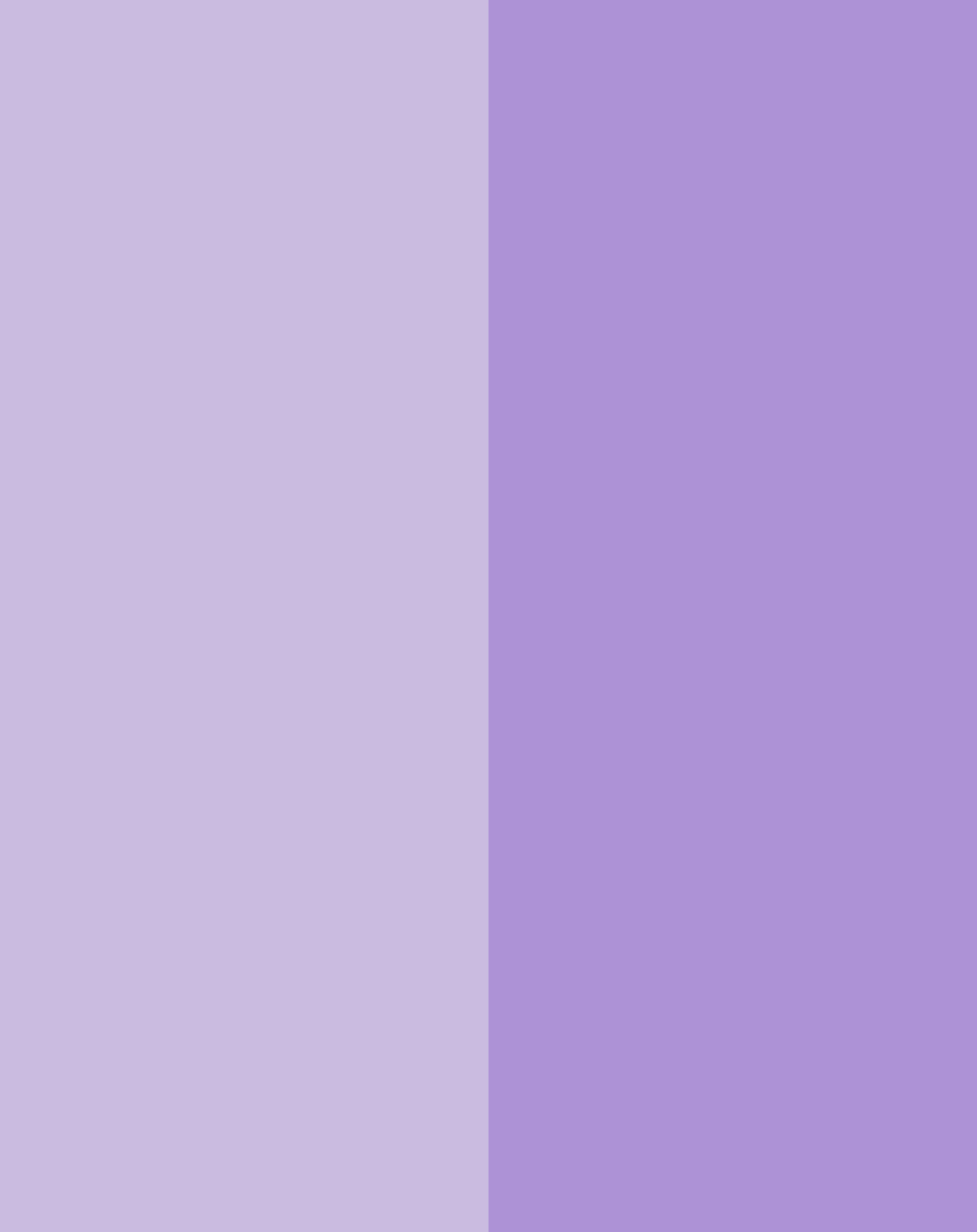 Schulranzen-Set FLEXY UNIQUE (30x25x40) 7-teilig in violet/lavender