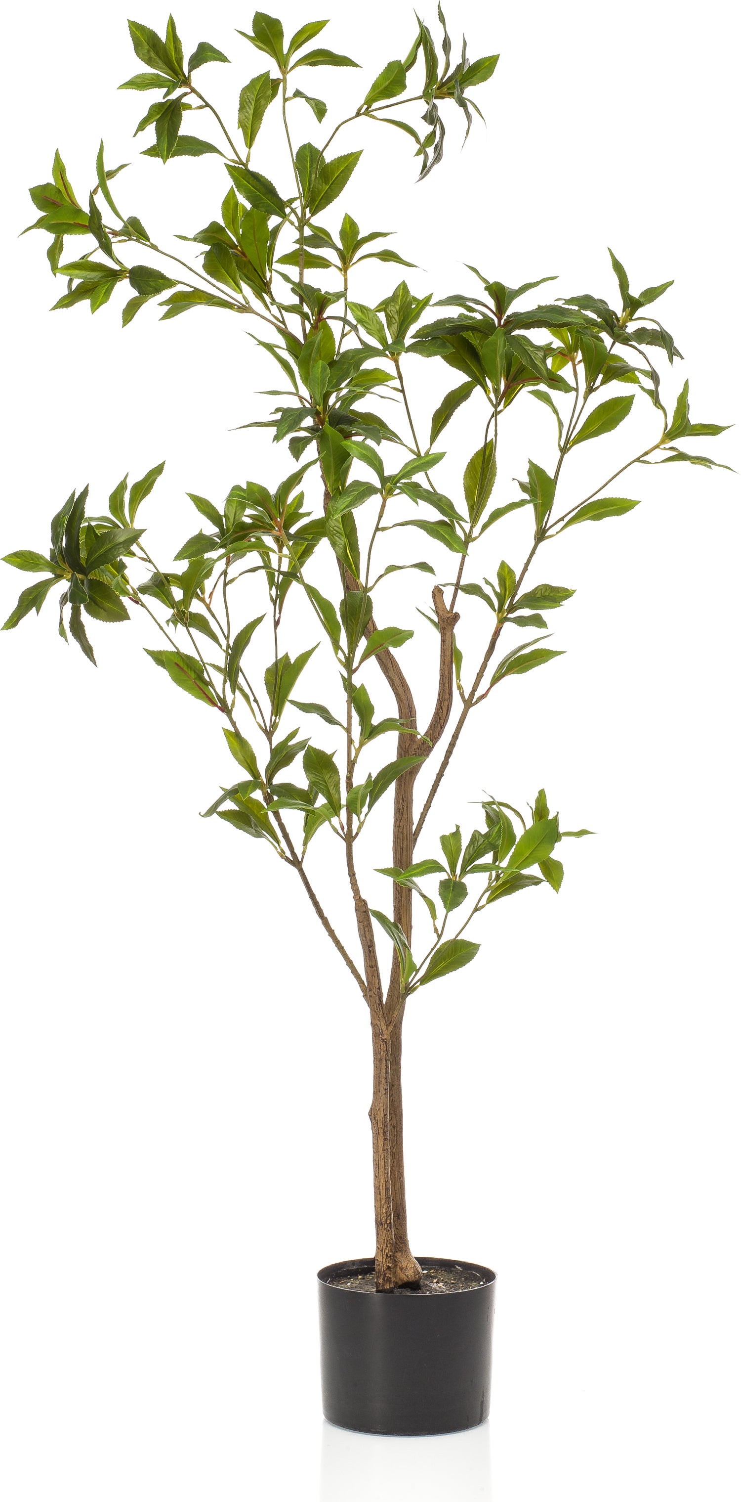 Emerald kunstplant Tea tree groen 48 x 48 x 120 cm