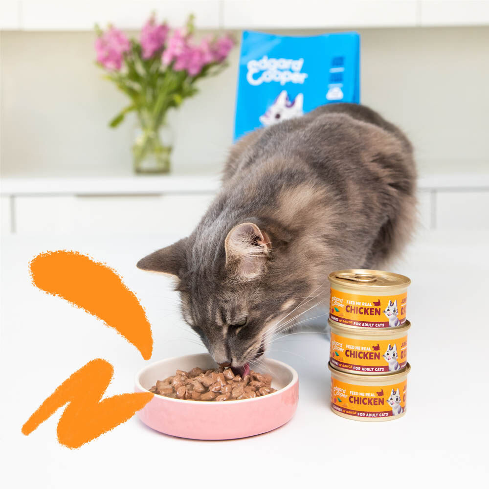 Edgard & Cooper Stukjes in saus - Kattenvoer - 85 Gram - kip, kalkoen
