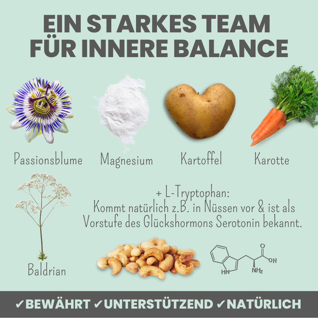 noms+ Wohlfühlsnacks für Hunde bei Stress, Angst, Unruhe & Hyperaktivität