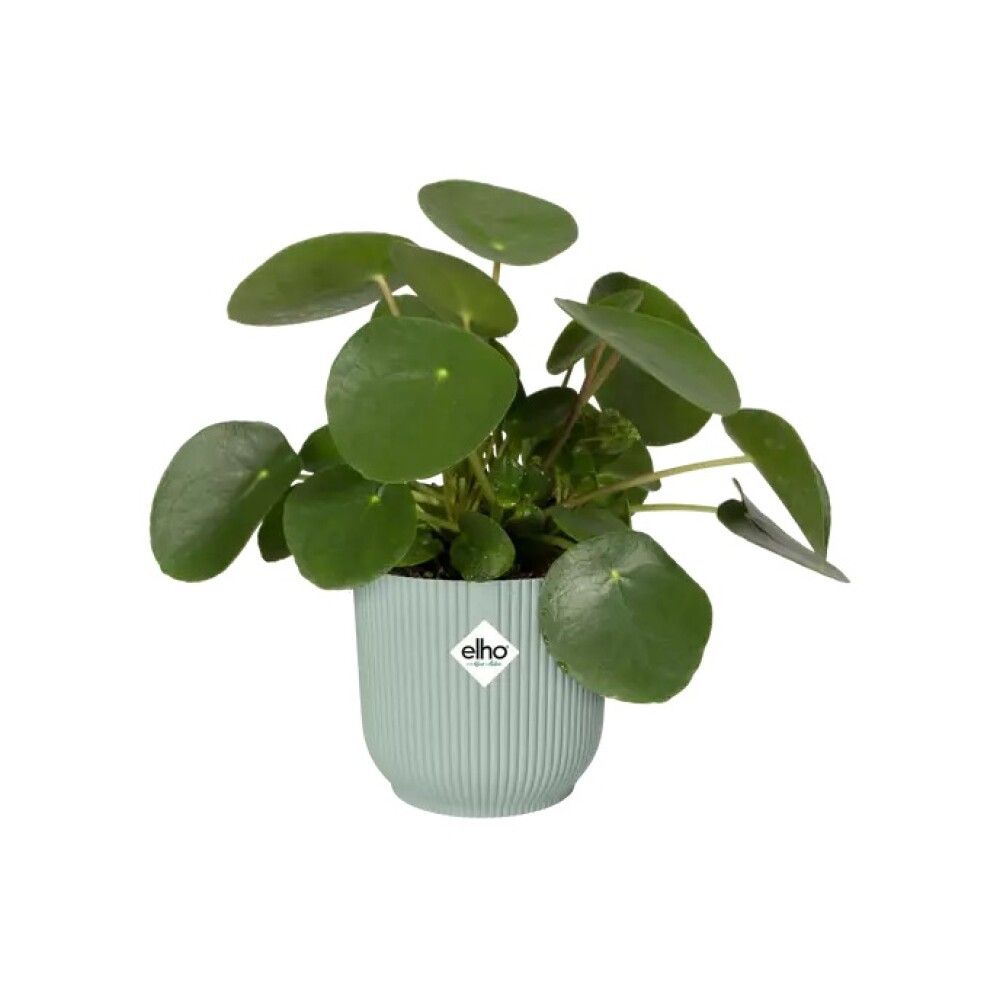 INNEPOTTE ELHO VIBES FOLD ROUND Ø14CM GRØNN