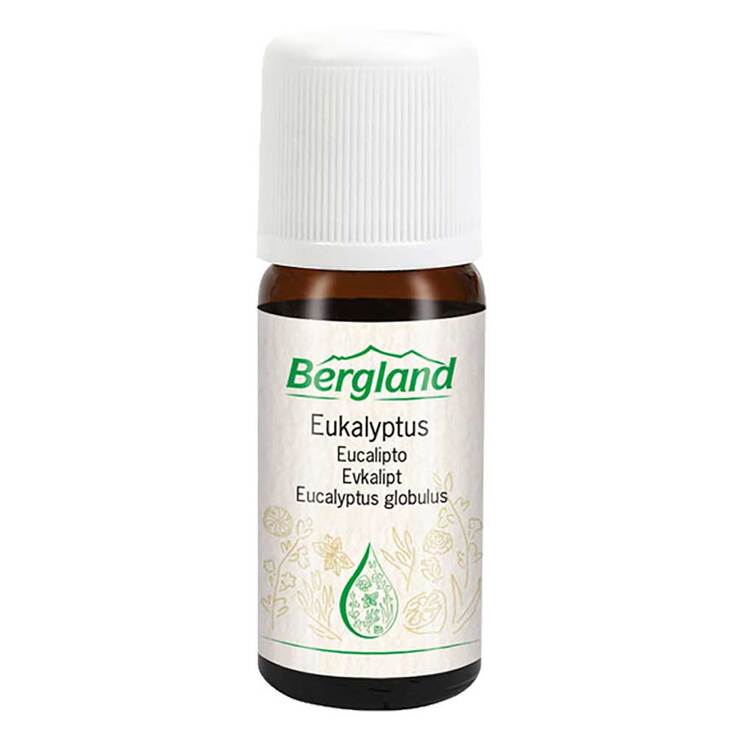 Eukalyptus-Öl, 10 ml