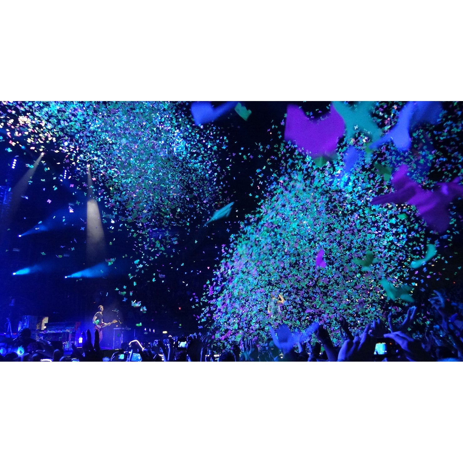 Chauvet DJ LED Shadow 2 ILS blacklight