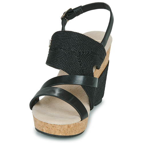 Les Petites Bombes - MELINE - Noir