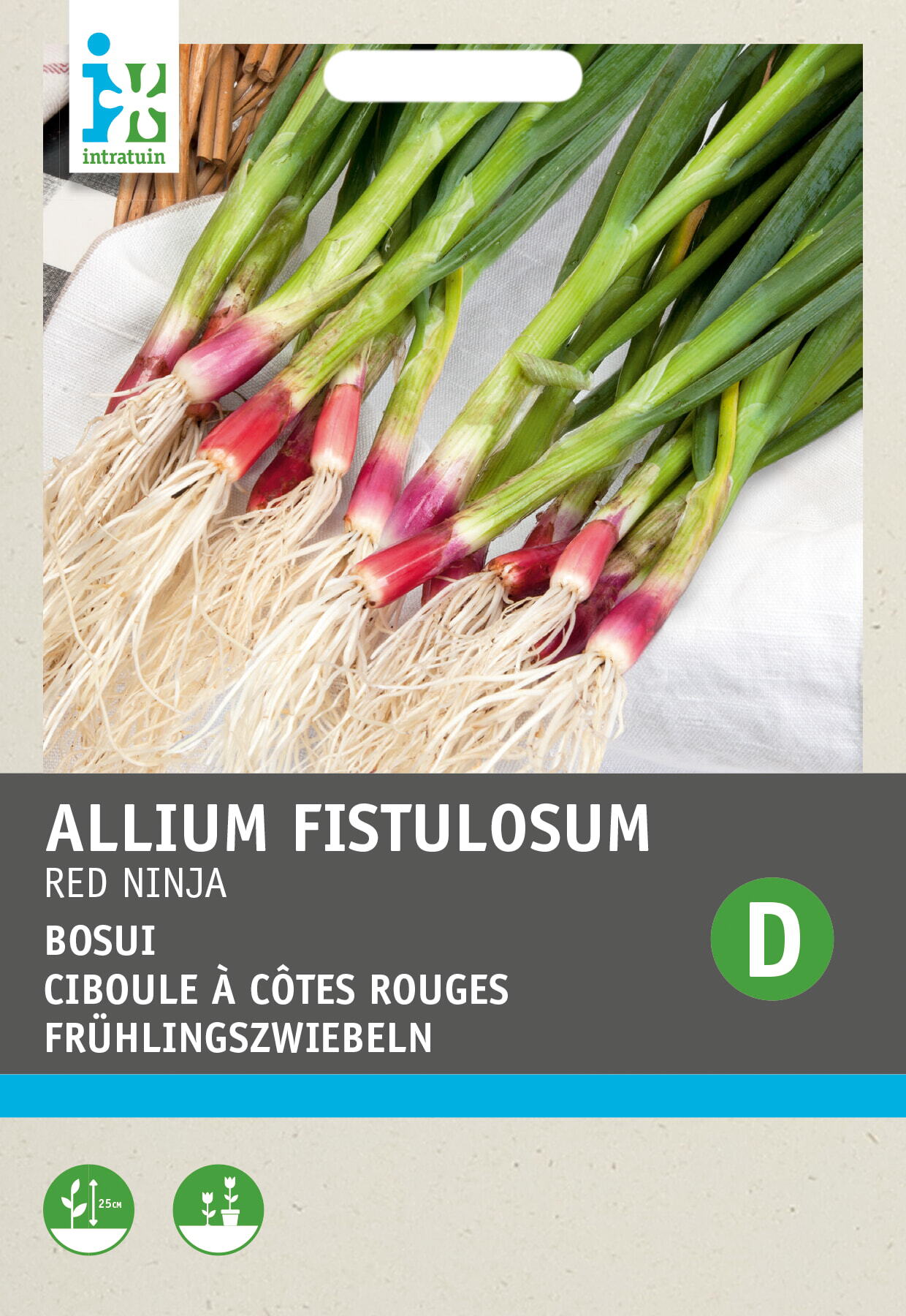 Intratuin groentezaad Bosuien rood (Allium fistulosum)