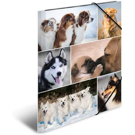 HERMA Sammelmappe Karton Hunde A4