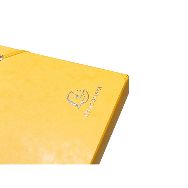 Exacompta Karton-Archivbox mit Gummizug