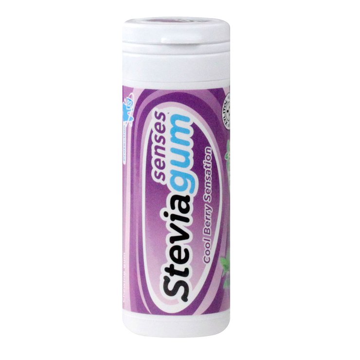 Steviagum menthe myrtille 30g