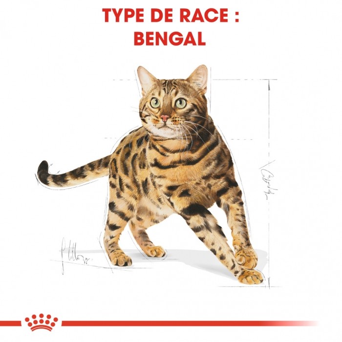 Royal Canin Bengal Adult