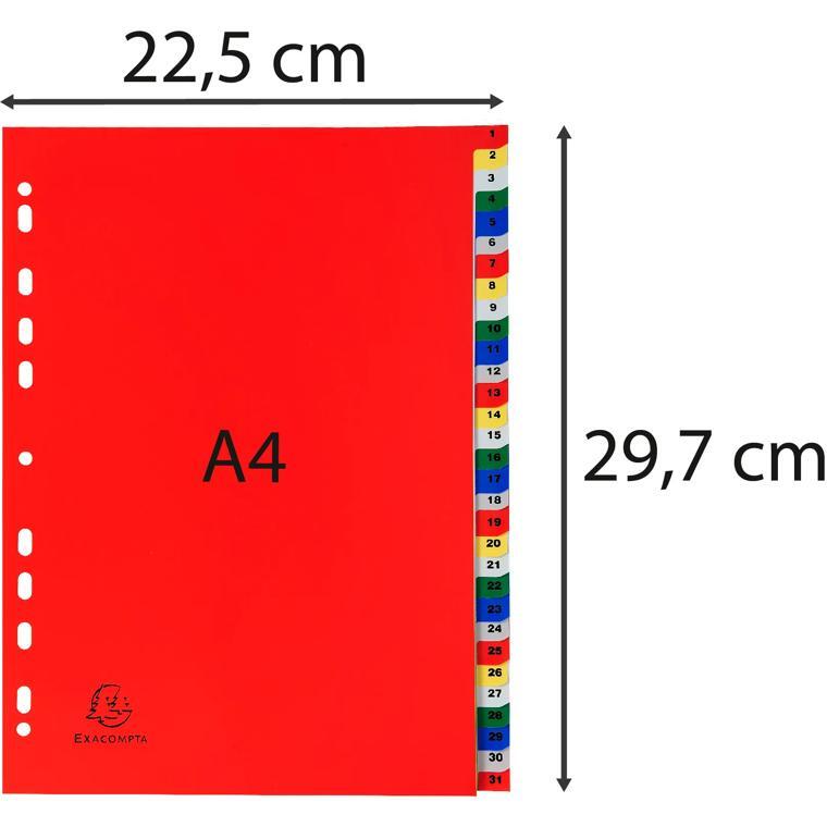 Intercalaires imprimés numériques PP couleurs 31 positions - A4 - Couleurs assorties