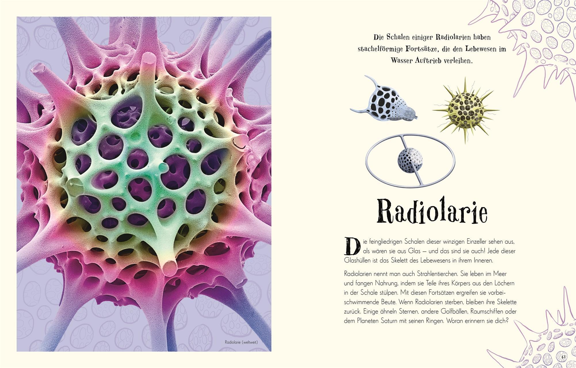 Wundervolle Welt der Natur / Wundervolle Welt Bd.2
