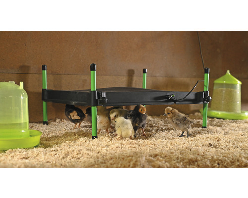 KERBL CosyHeat verwarmingsplaat voor kuikens 40 x 50 cm