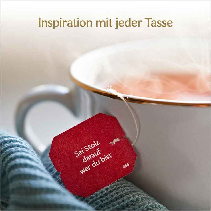 Yogi Tea Ingwer Bio, 17X1.8 g