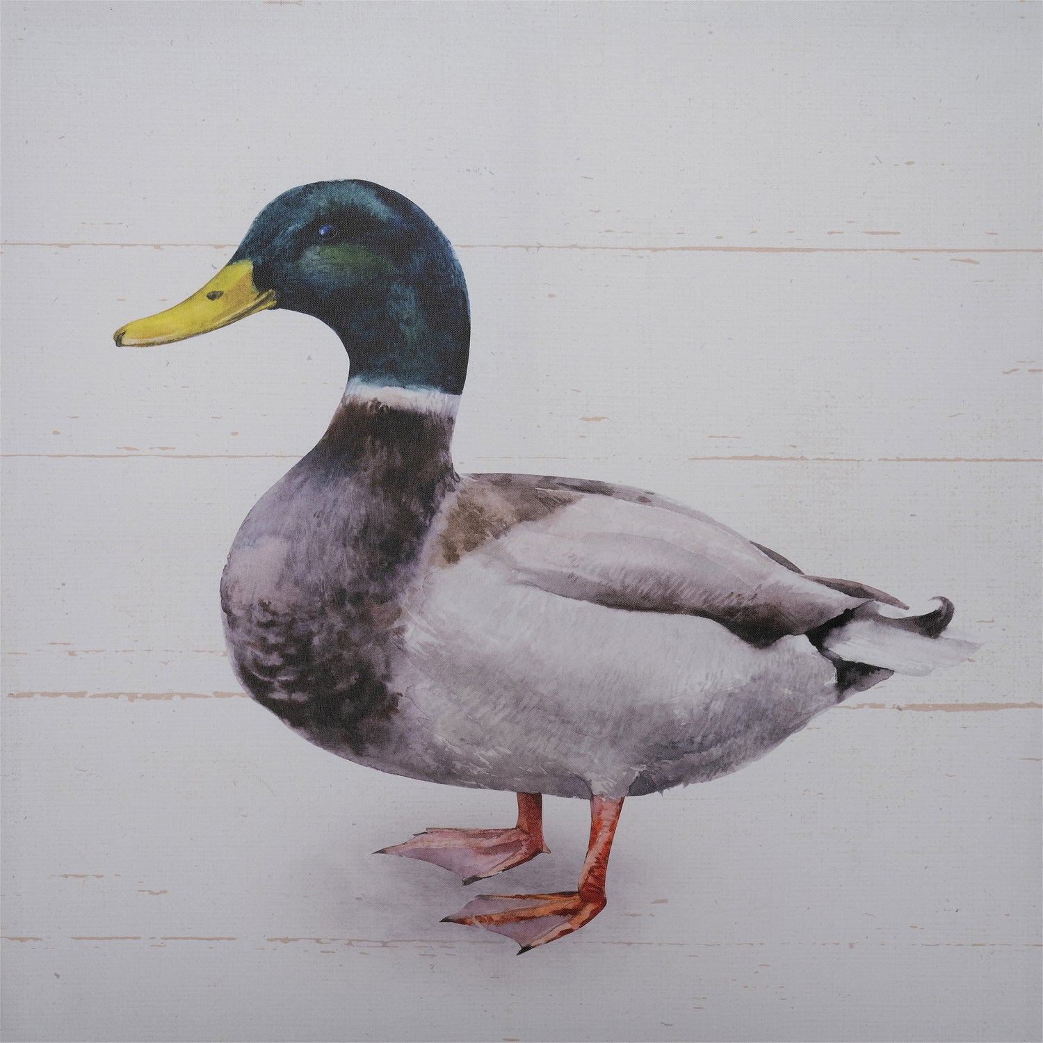 Intratuin tuinschilderij Canva eend 70 x 50 cm