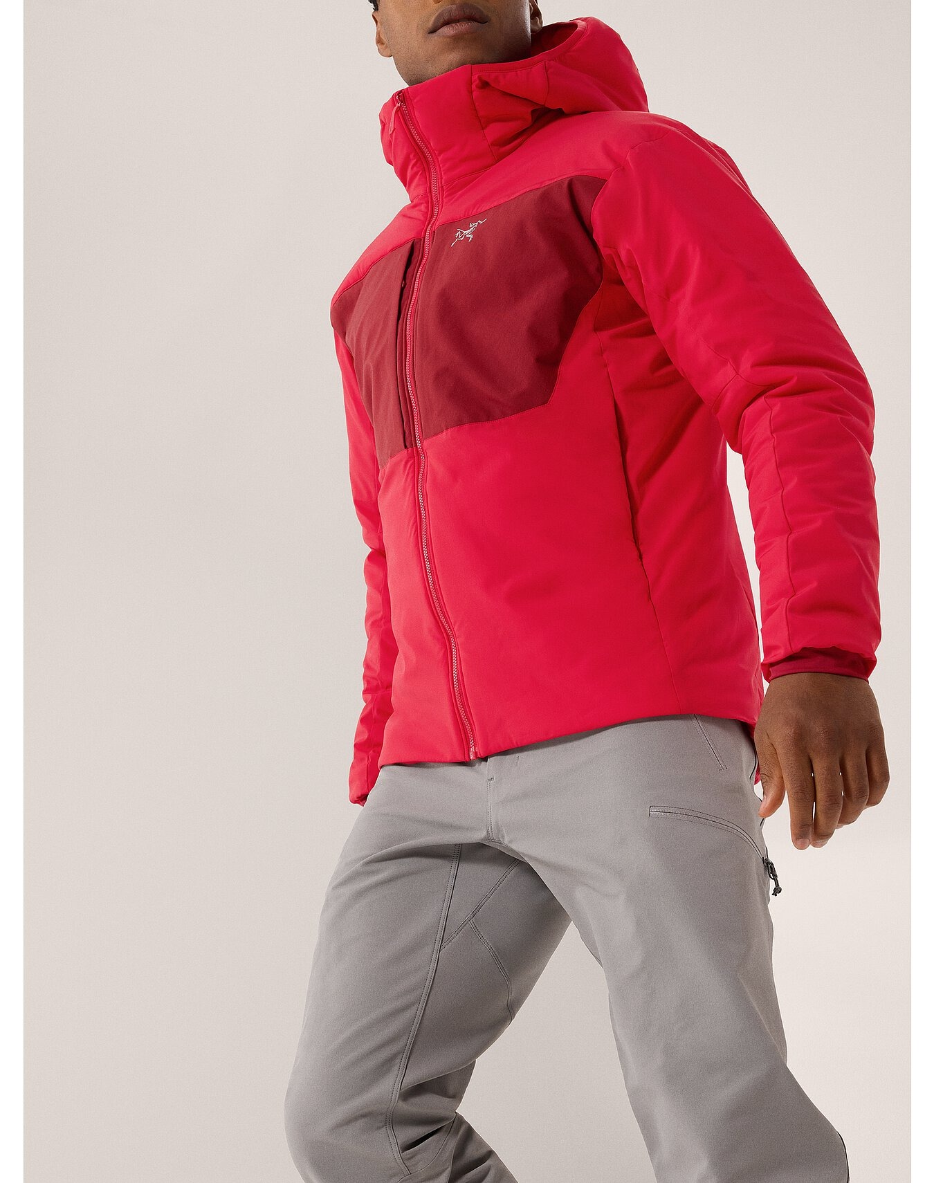 Proton Heavyweight Hoody Herre Heritage