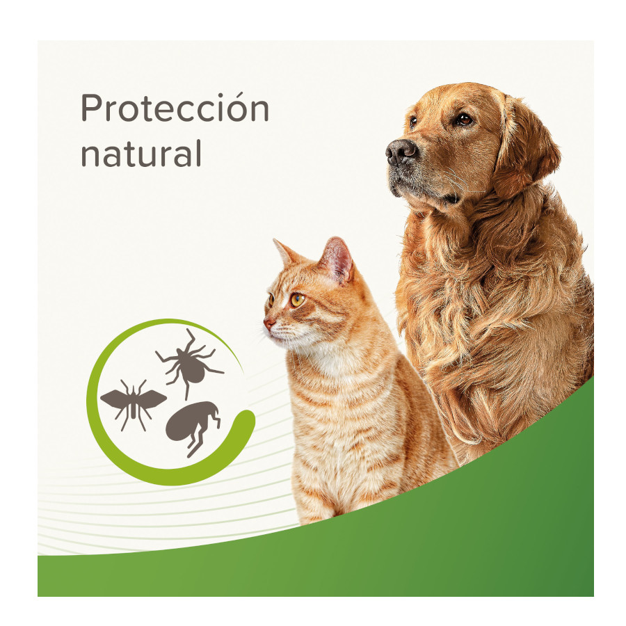 Shampoo repelente Beaphar para cães e gatos