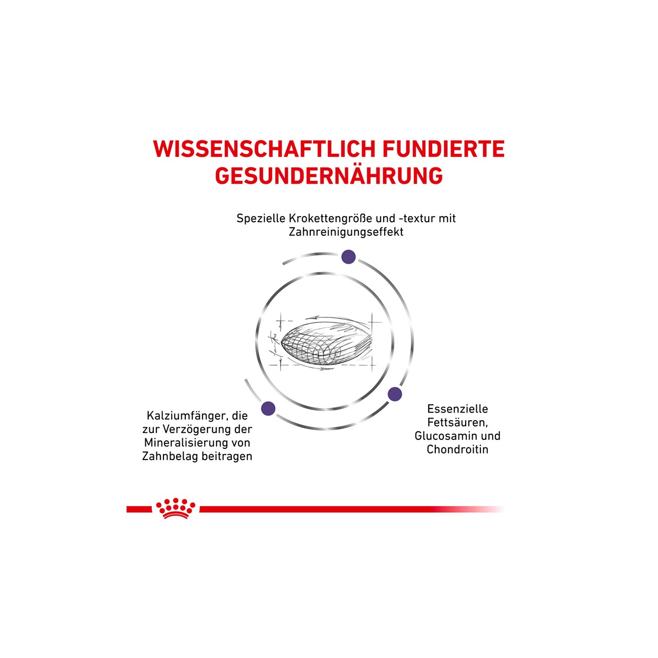 ROYAL CANIN Expert Dental Medium & Large Dogs 6 kg