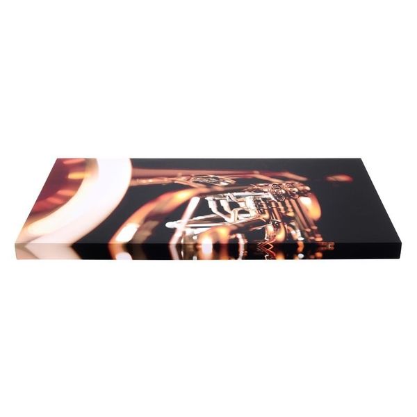 t.akustik Print Panel Shiny Brass