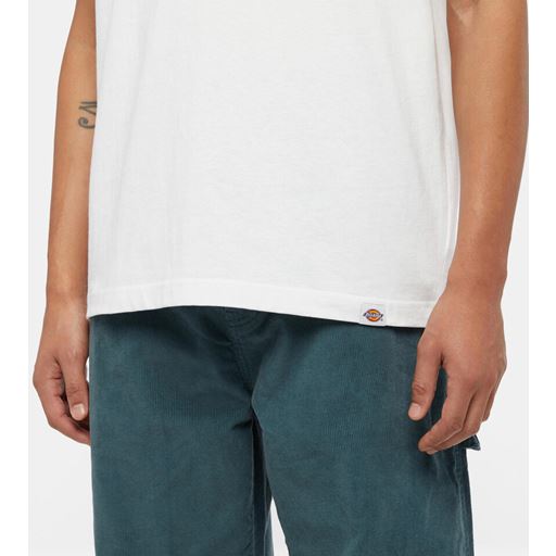 Dickies Panther T-shirt, White, XXL