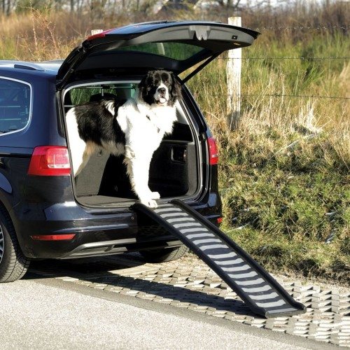 Rampa de acesso para cães para carro, cinza e preta