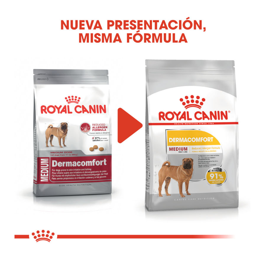 Ração Royal Canin Dermacomfort para cães de porte médio