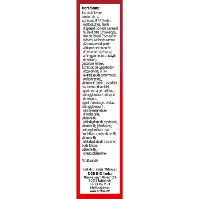 Salus Floradix IJzer Tabletten