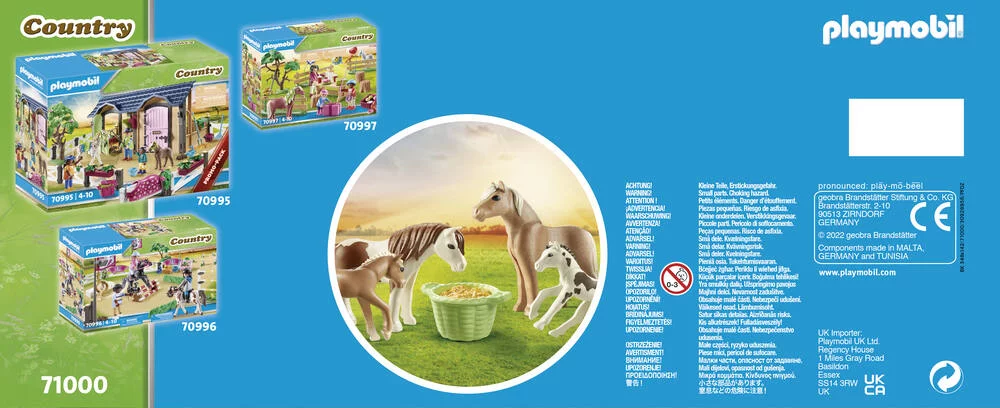 2 PONEYS ISLANDAIS ET POULAINS - 71000