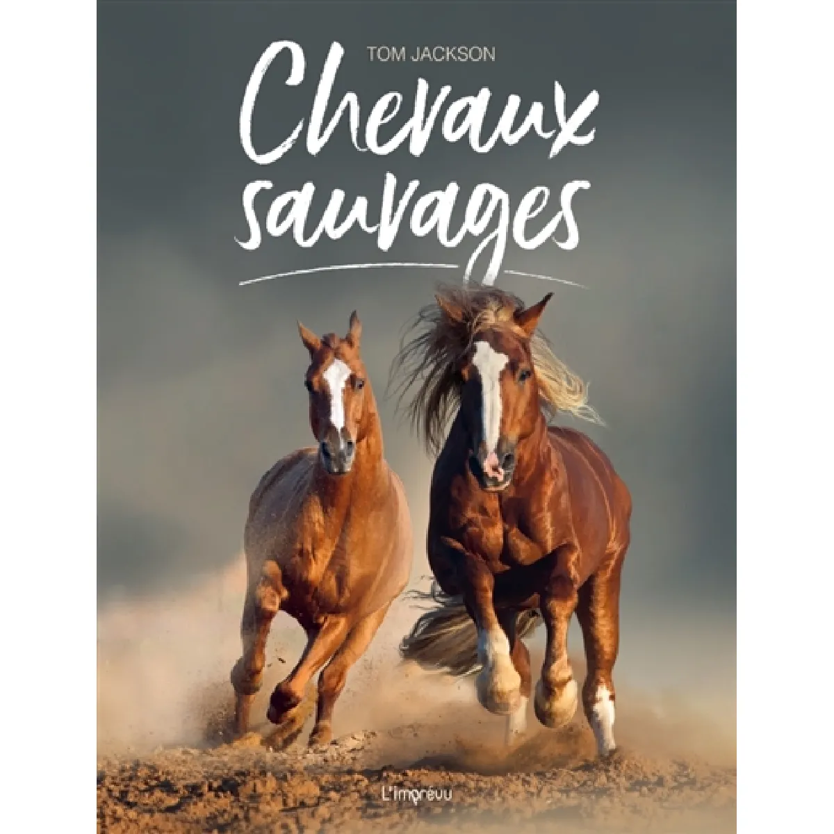 Chevaux sauvages