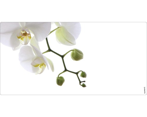 Badkamer achterwand mySPOTTI aqua orchid phala 90x45 cm