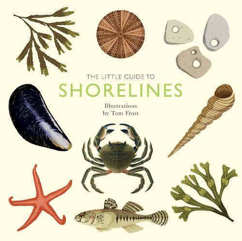 The Little Guide to Shorelines - Little Guides (Hardback)