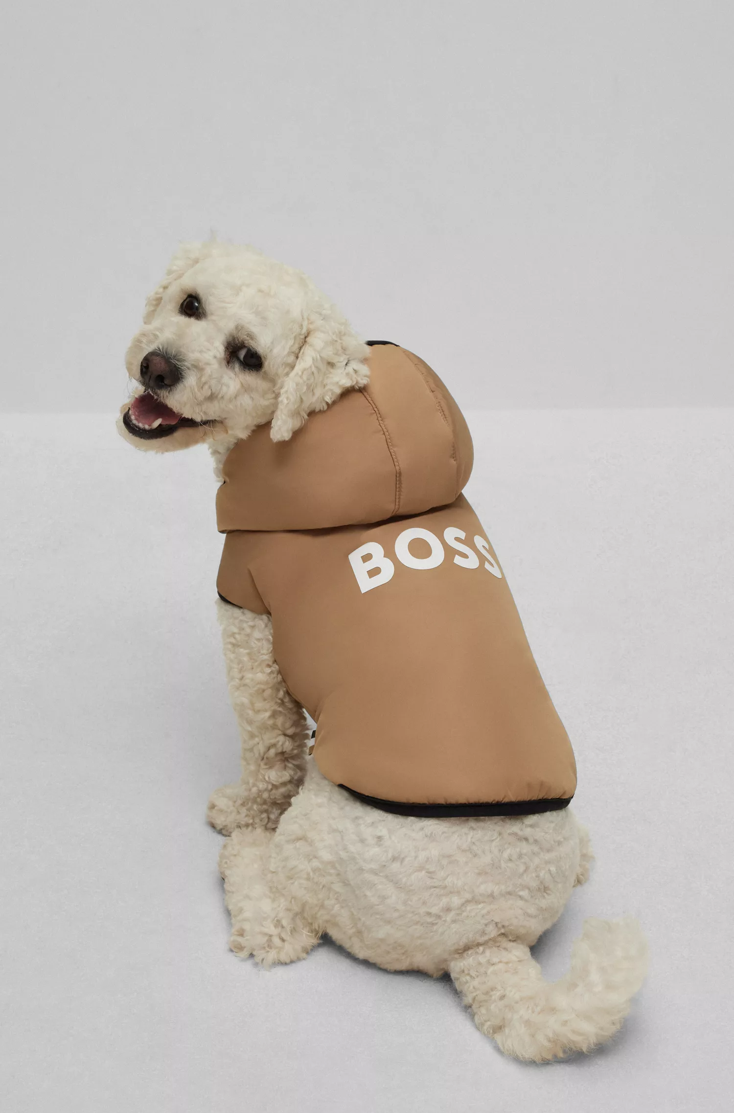 Jaqueta leve BOSS Black-Dog com detalhes do logotipo.