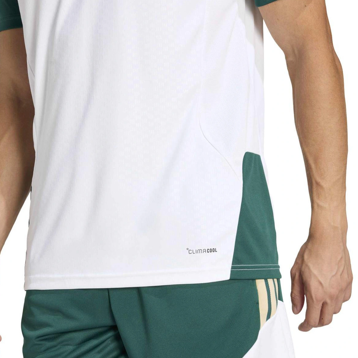 T-Shirt adidas Italia Training Mundial 2026