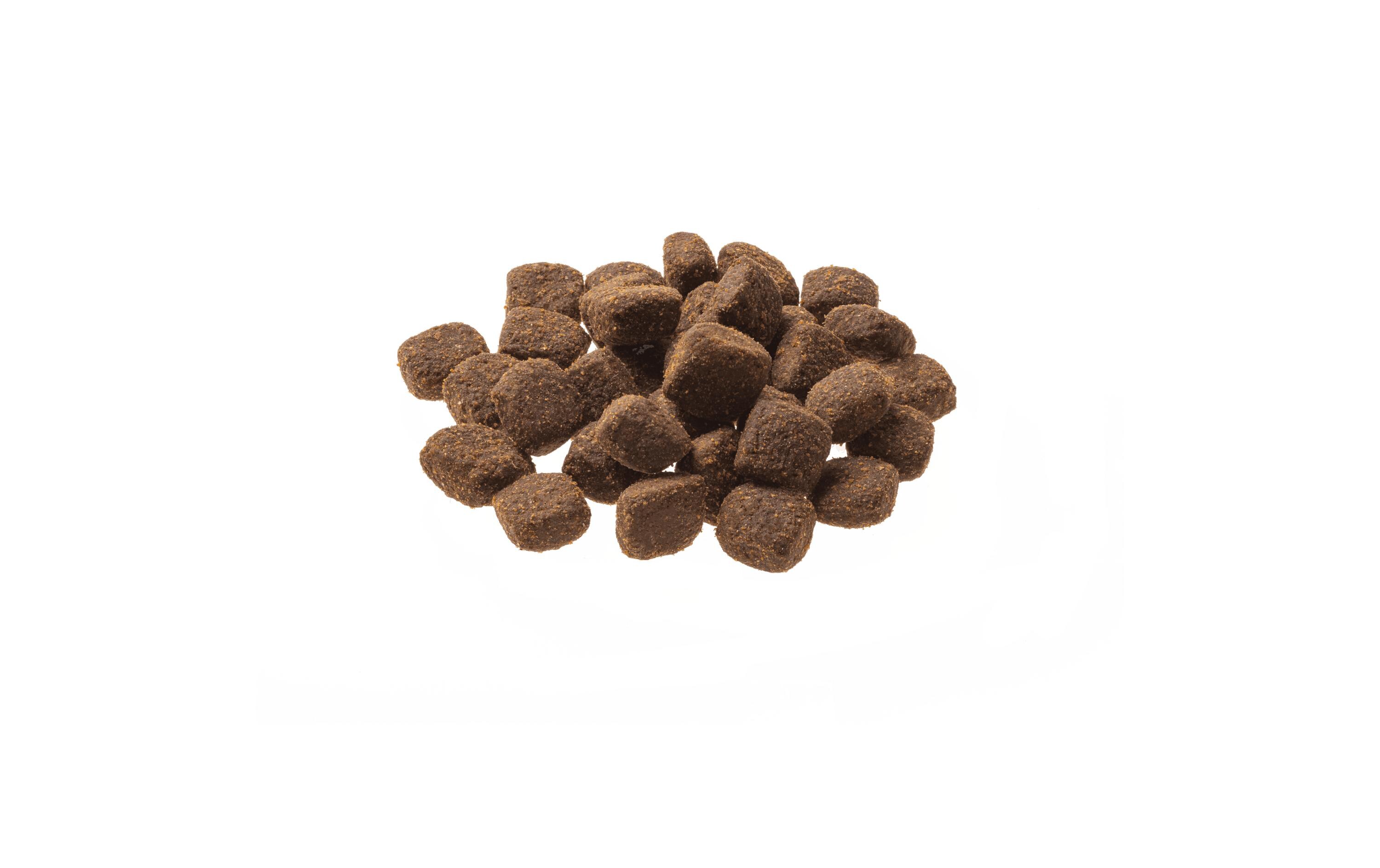 Trockenfutter Natural Taste Wild & Büffel 12 kgAlleinfuttermittel für ausgewachsene Hunde