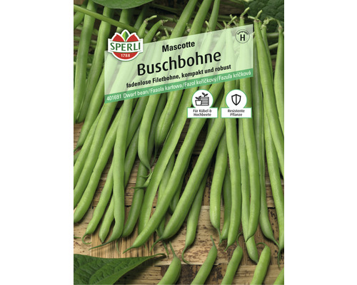 Sperli groentezaden van struikbonen 'Mascotte'