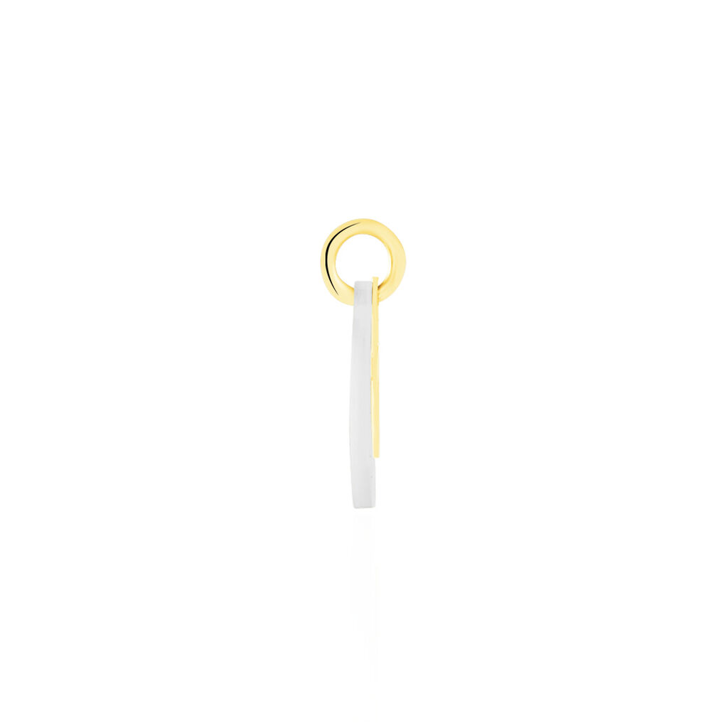 Pendentif Amaryllis Croix Or Jaune Nacre