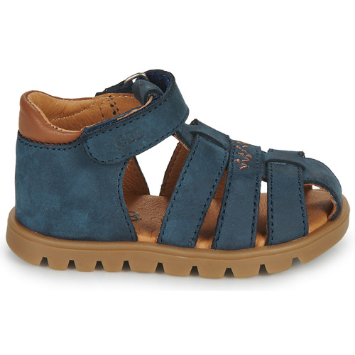 GBB - POLITO - Bleu